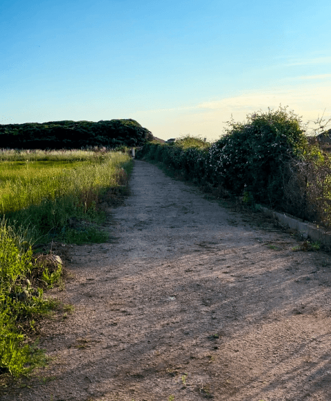 Chemin