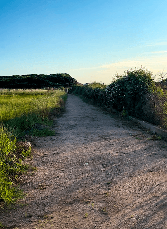 chemin